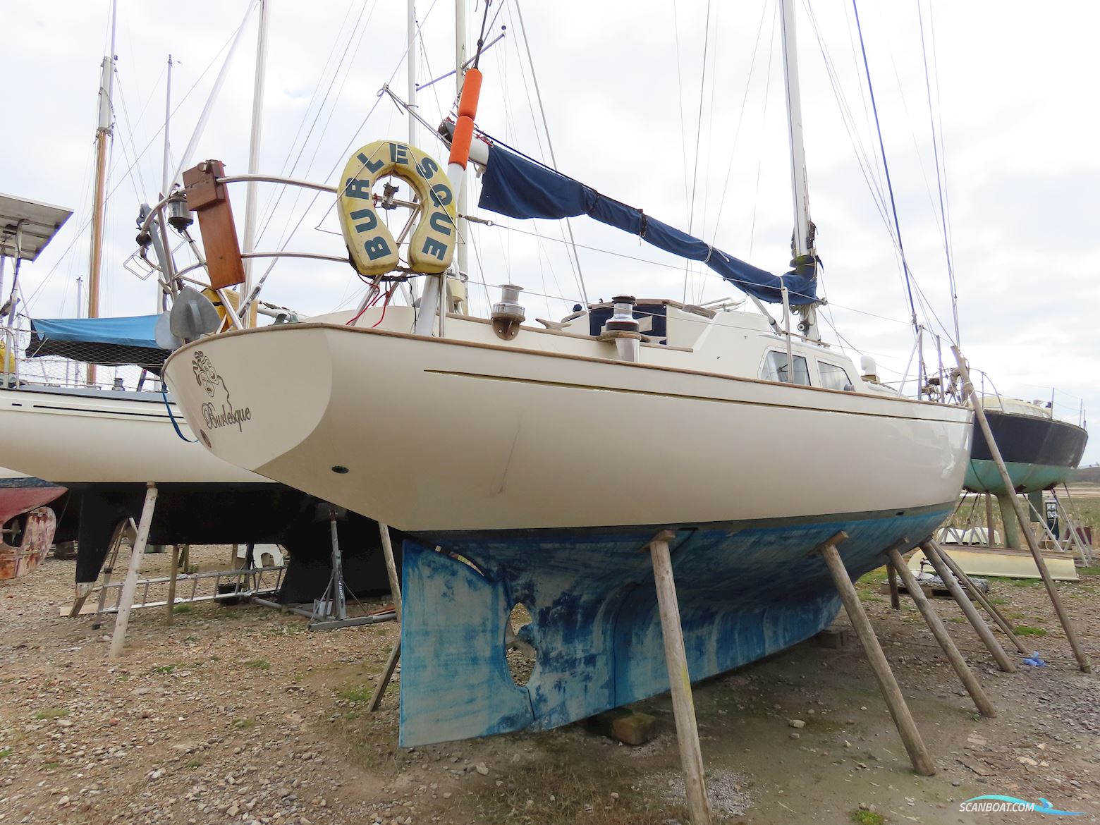 Bowman 36