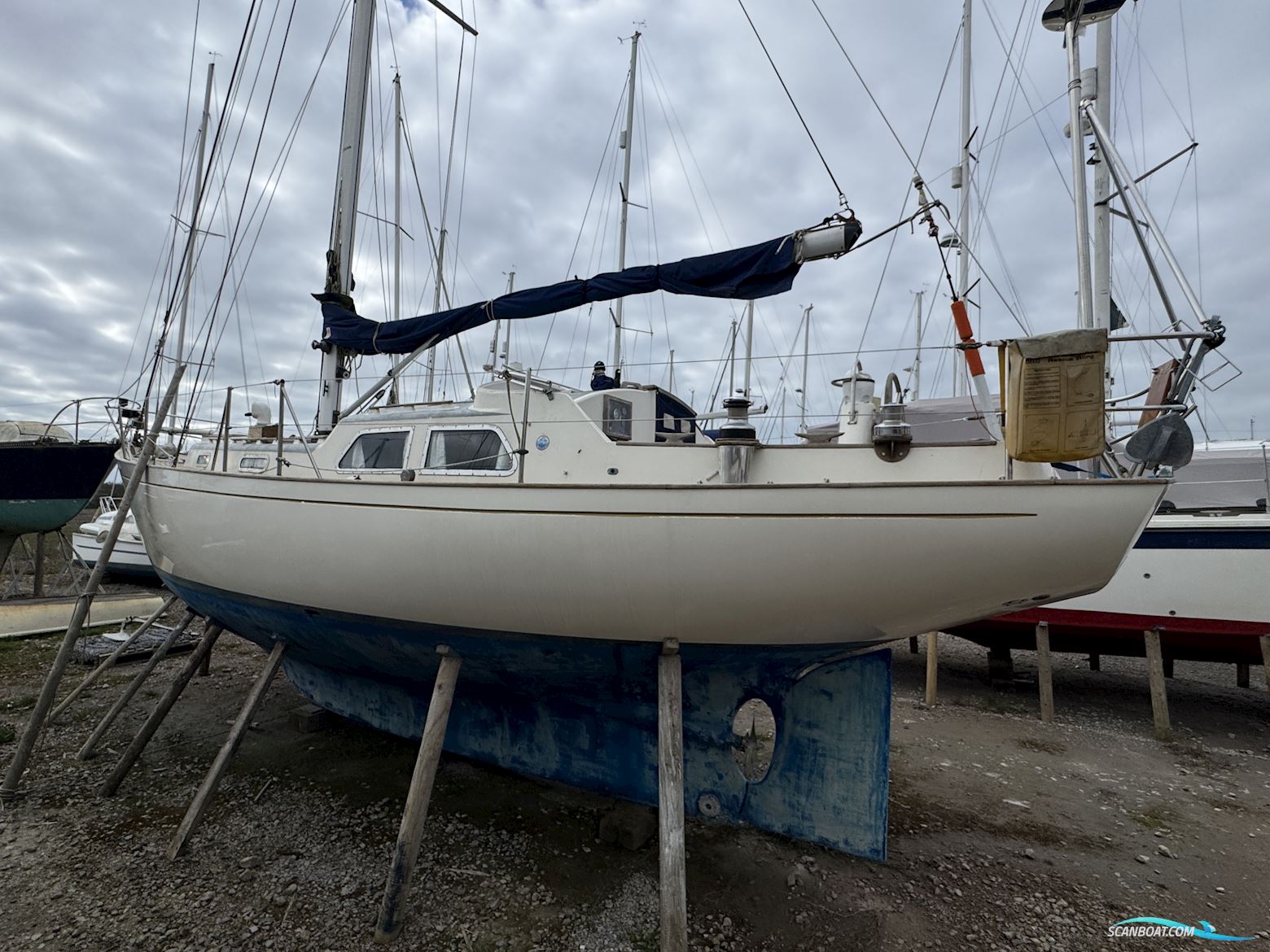Bowman 36
