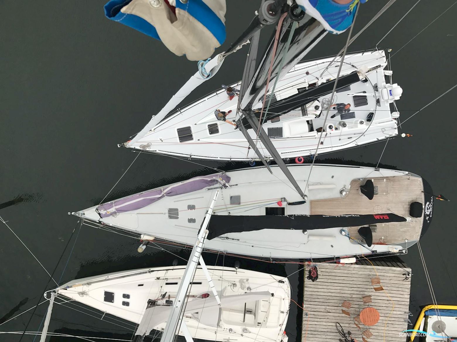 Brenta 55