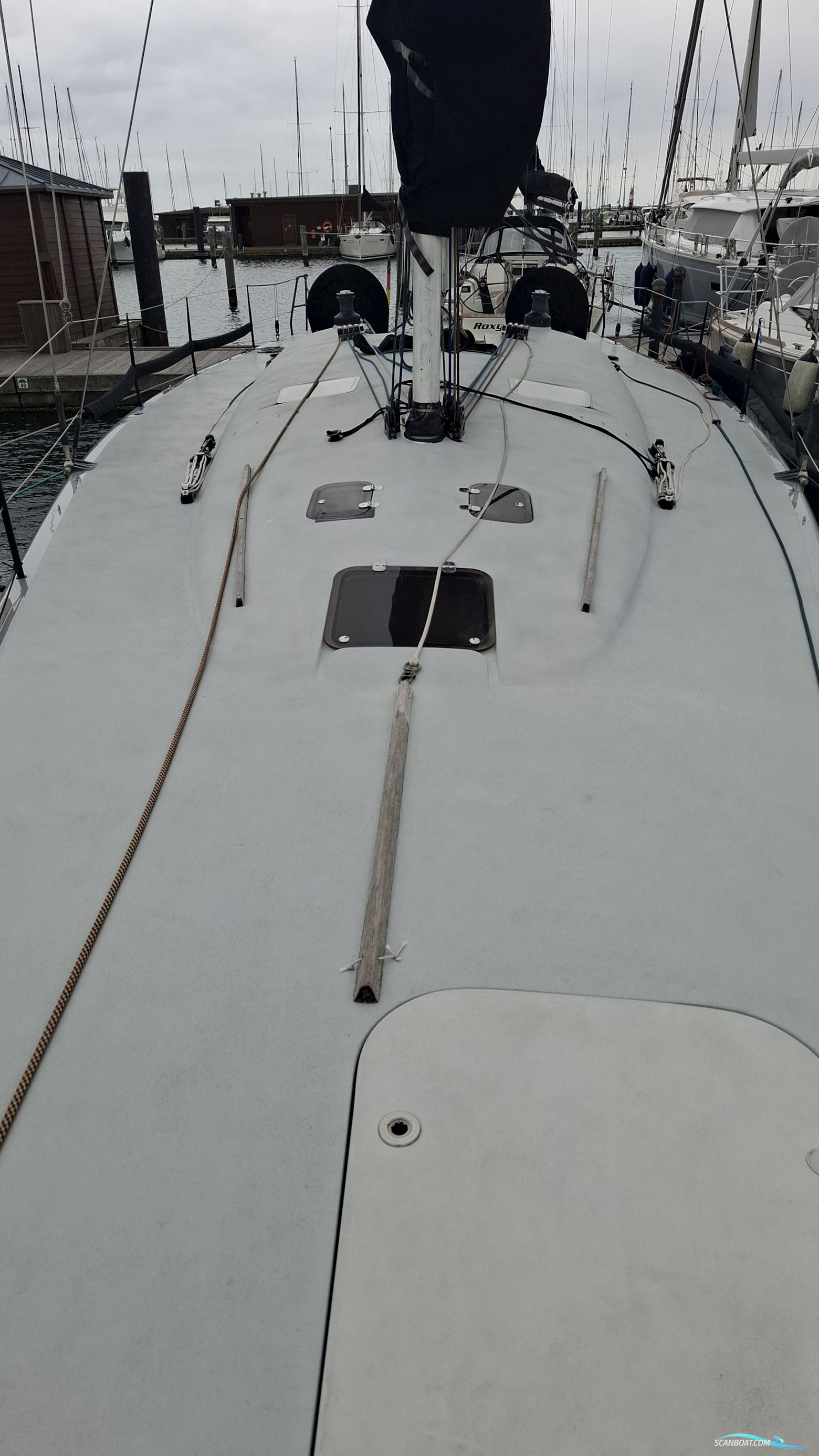 Brenta 55