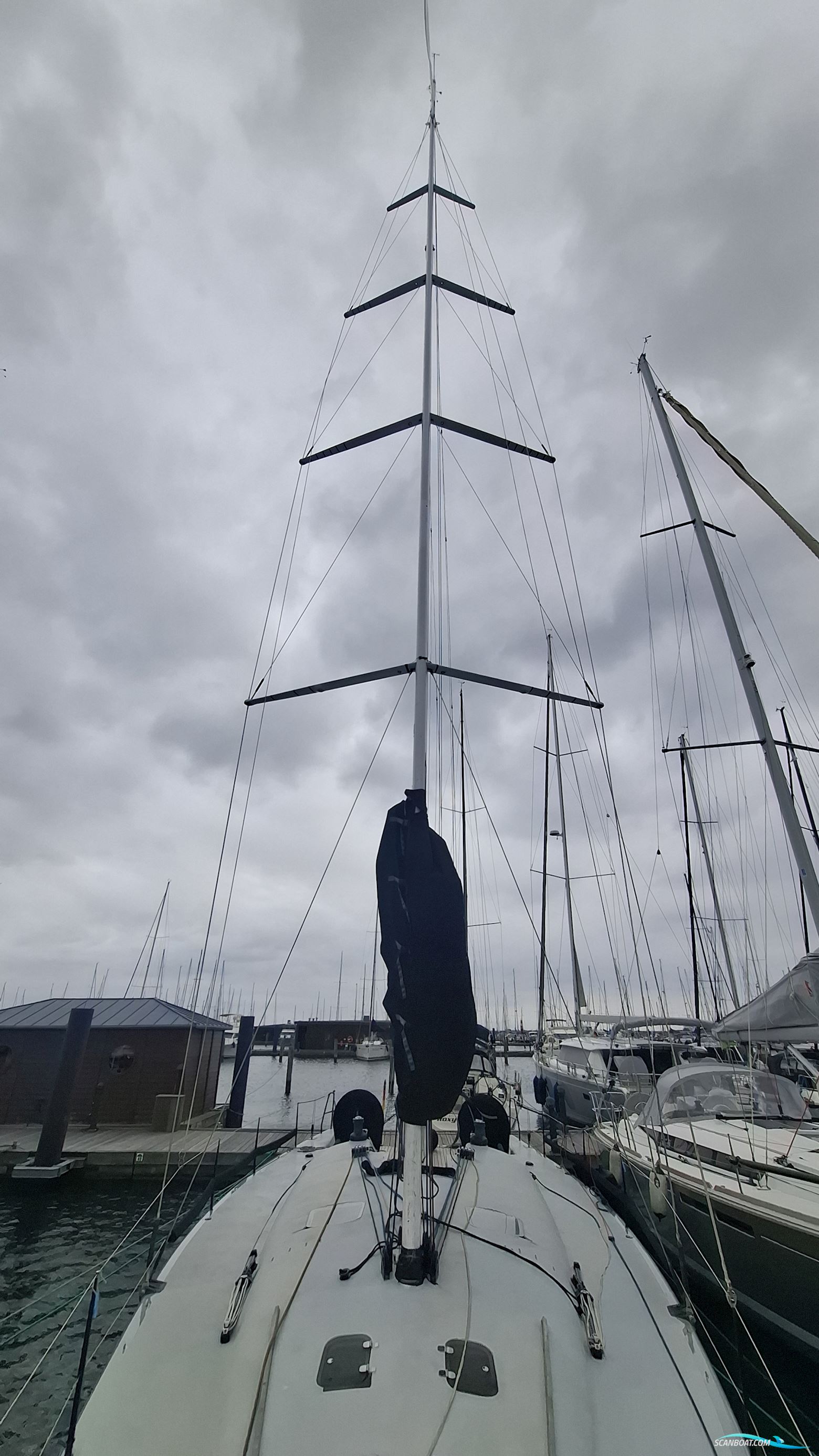 Brenta 55