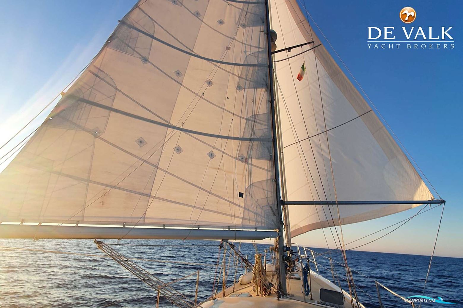 Brown Bluewater 49