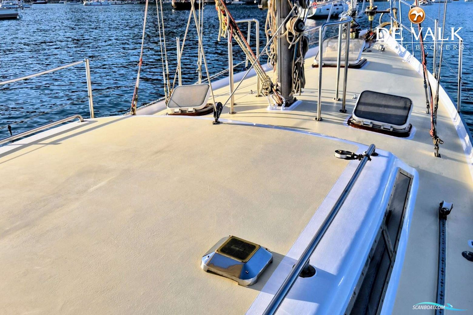 Brown Bluewater 49
