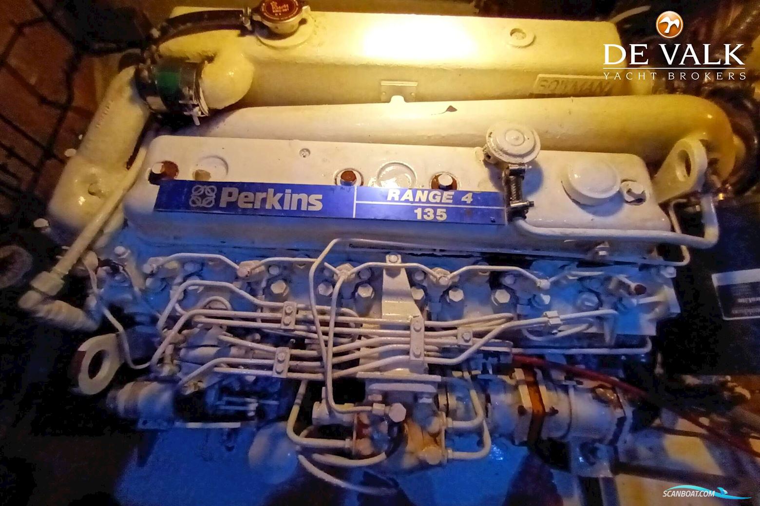 Bruce Roberts 50 (Henry Morgan)