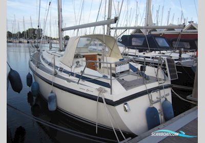 C-Yacht Compromis C888 Sailingboat 2001, with Yanmar 2GM20 Fce engine, The Netherlands