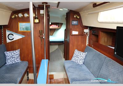 Cal 31 Sailingboat 1979, The Netherlands