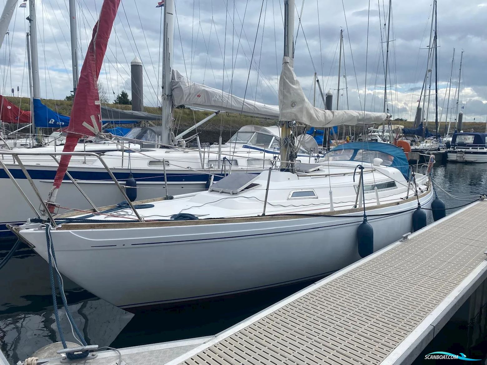Camper & Nicholsons 31 Sailingboat 1977, with Yanmar D2QM20 engine, Belgium