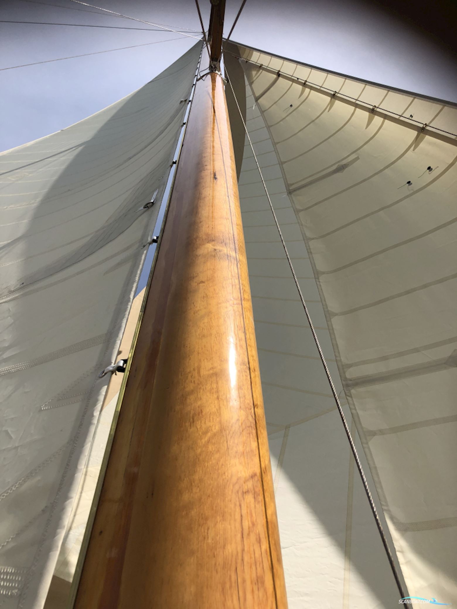 Cantiere Navale Postiglinio San Domenico