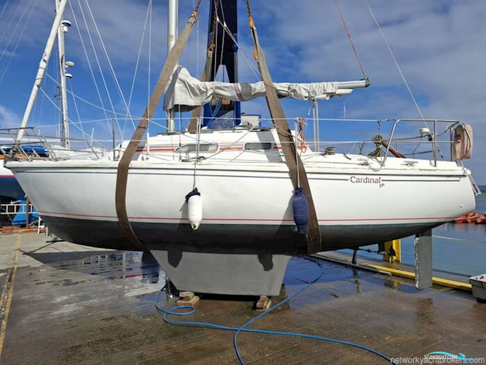 Cardinal Craft Ltd. Cardinal 26
