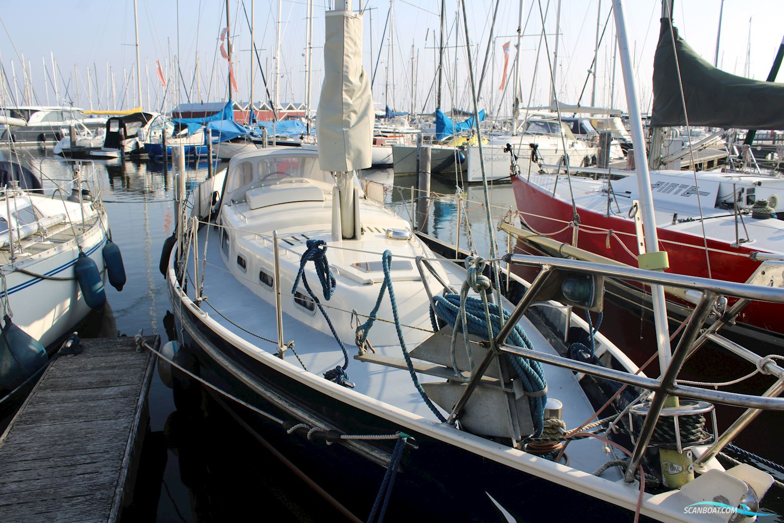 Carena 35
