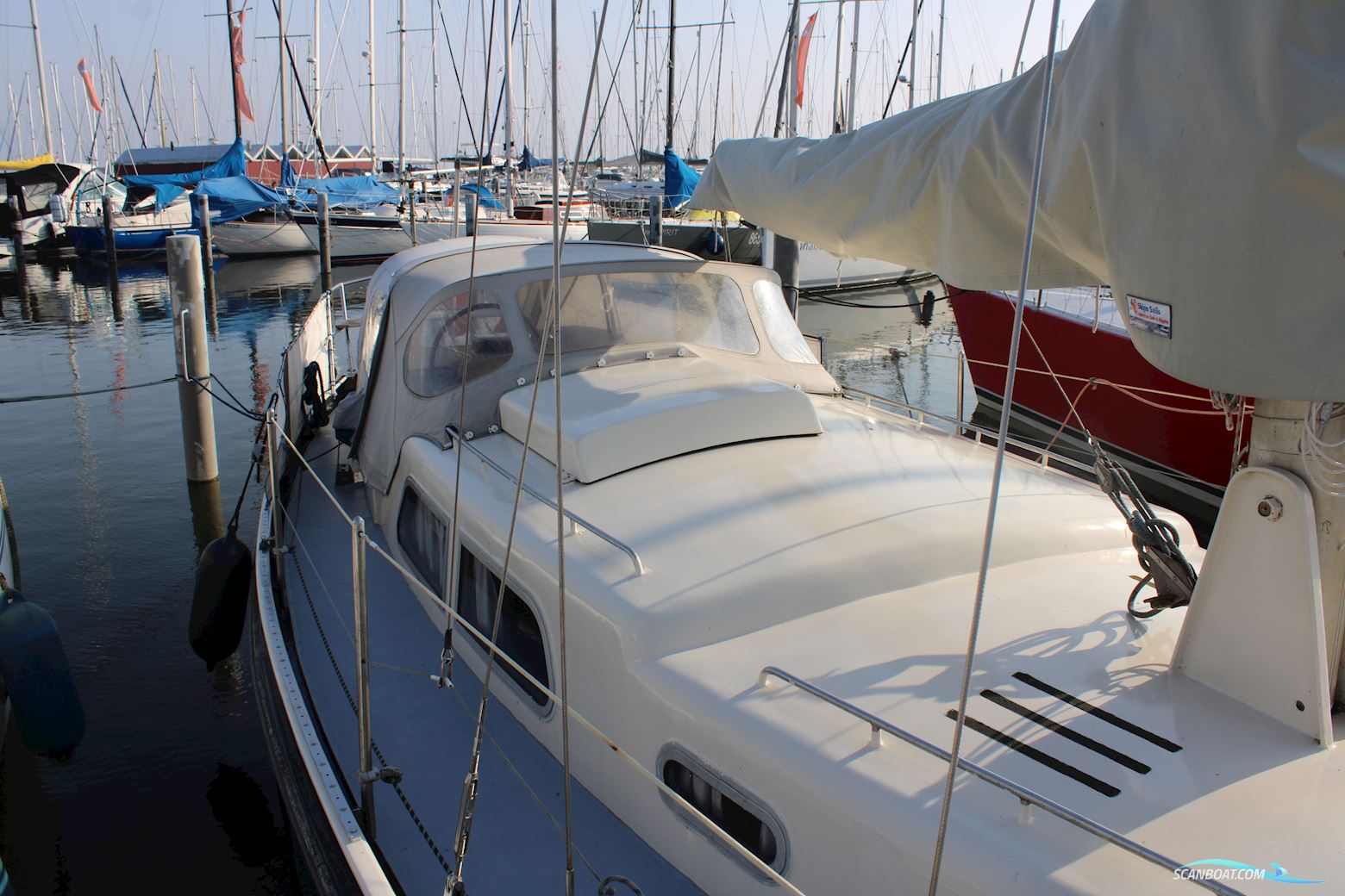 Carena 35