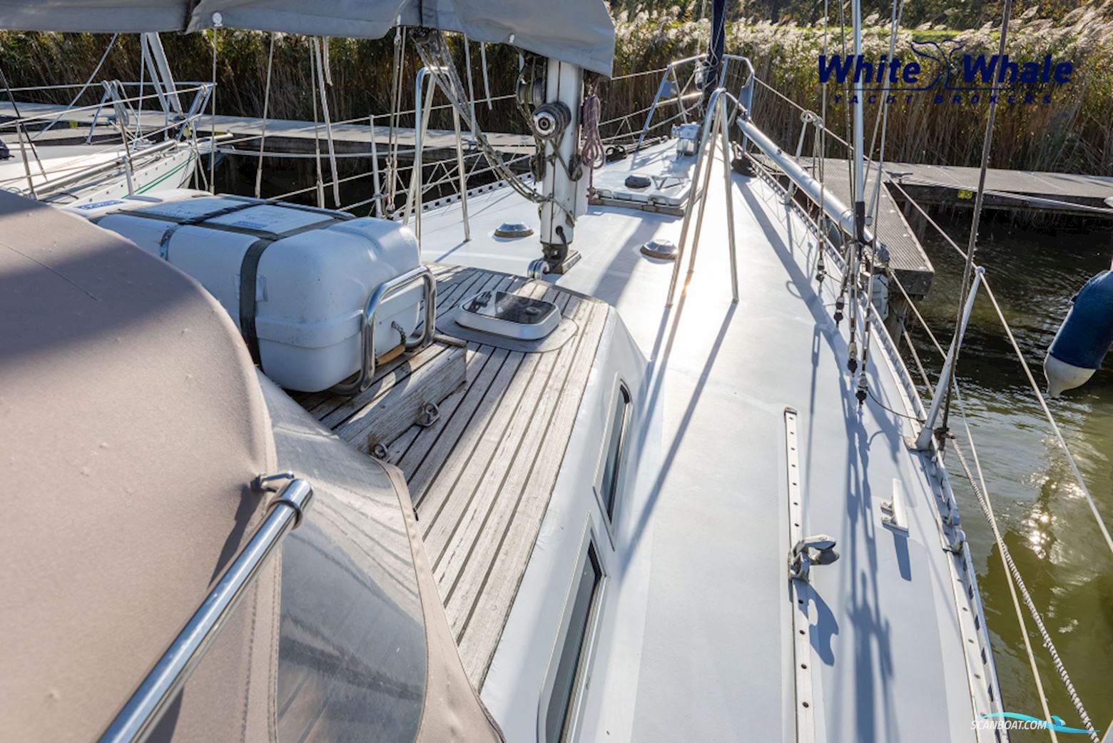 Carena 36