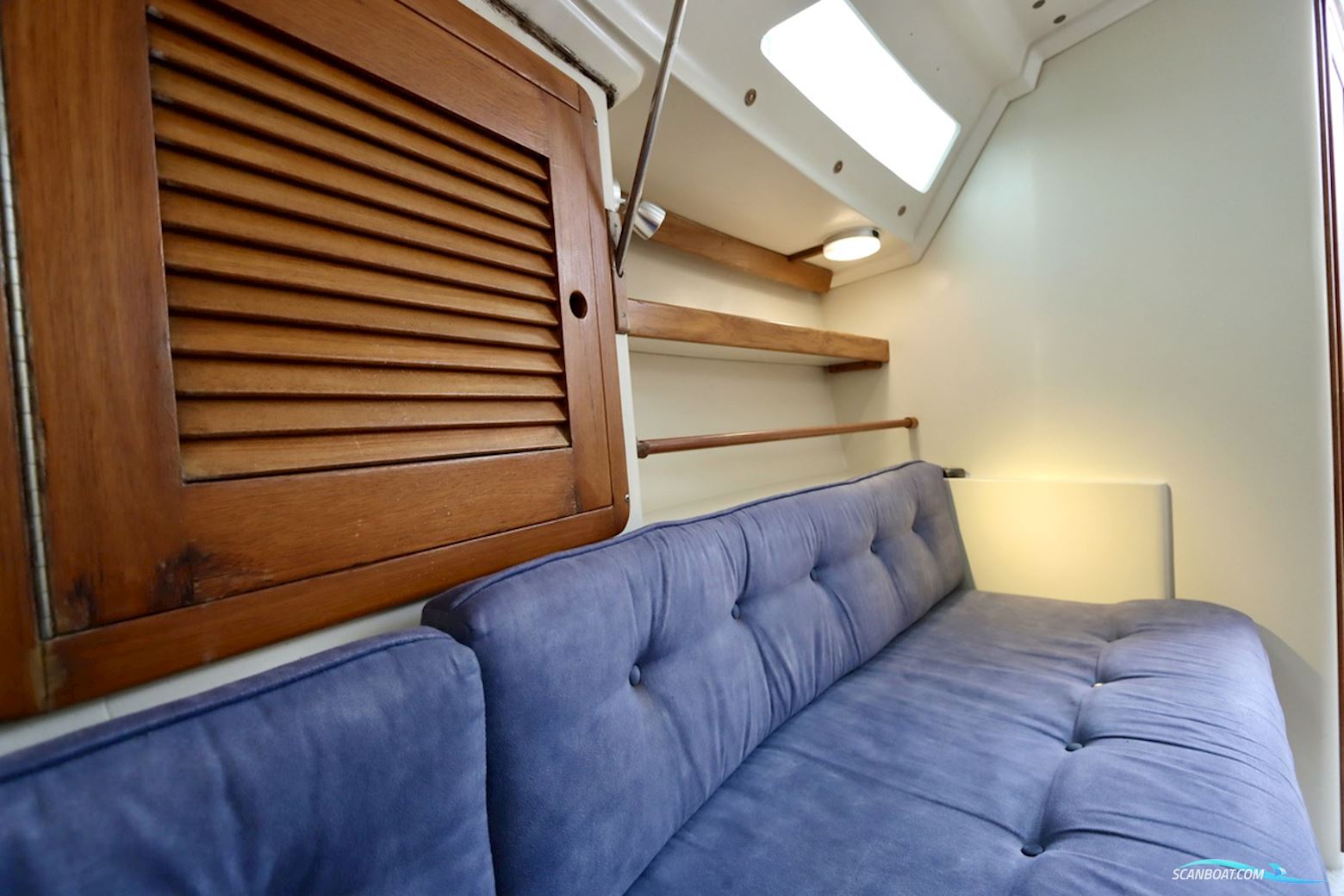 Catalina  270
