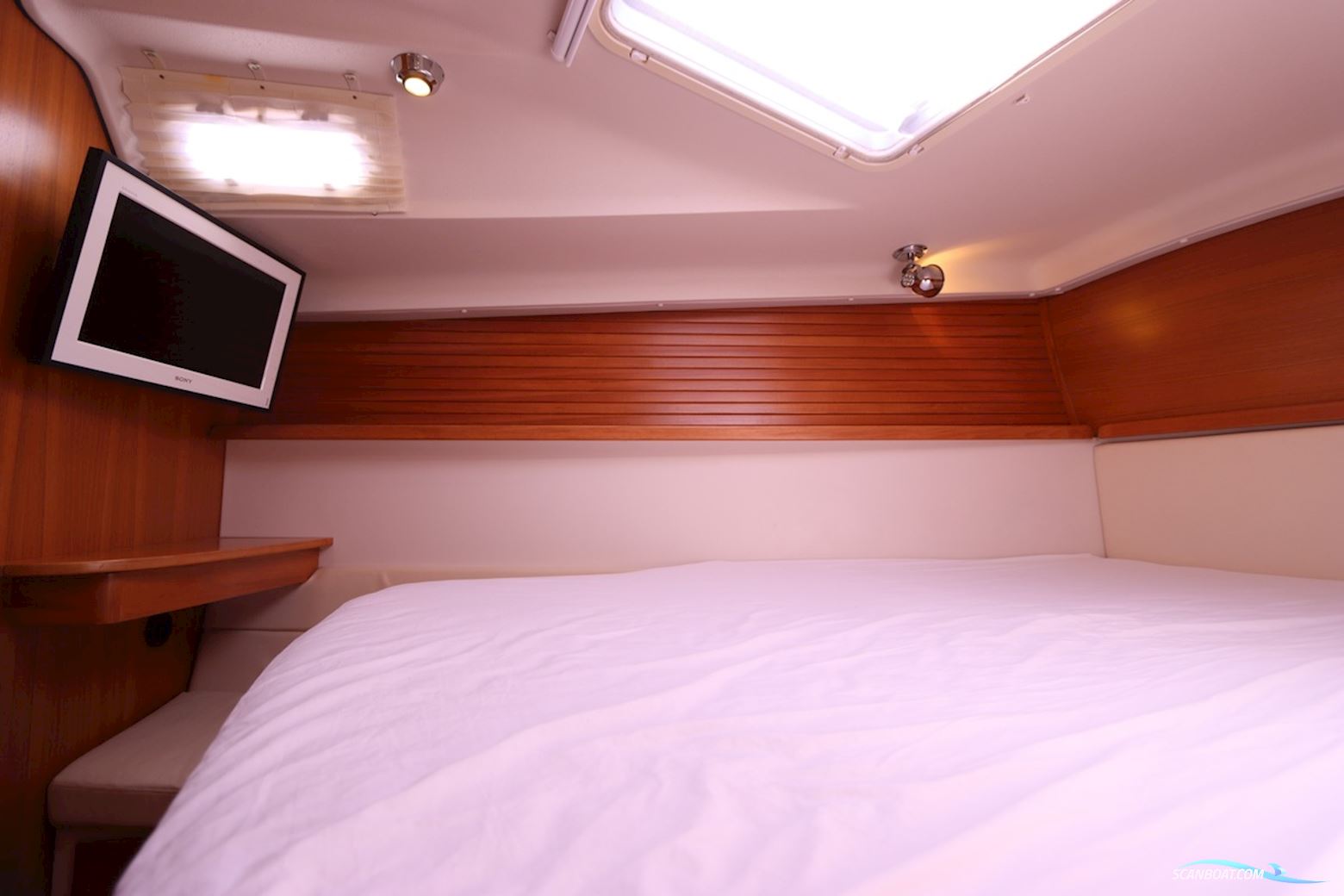 Catalina  445