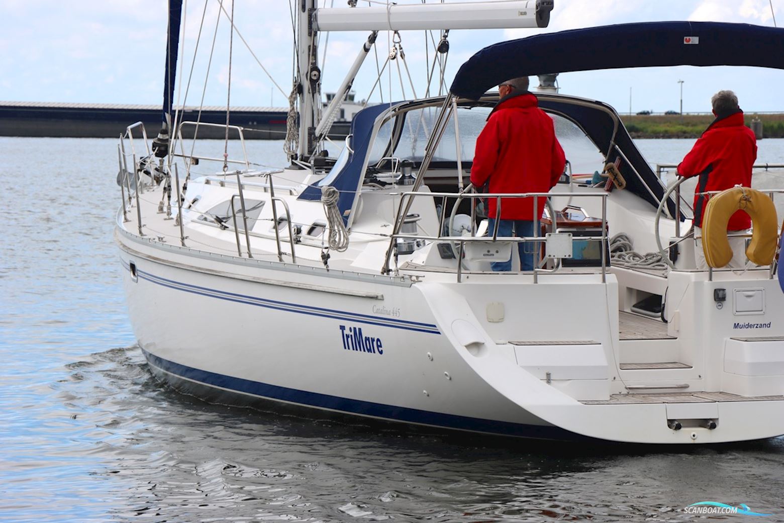 Catalina  445