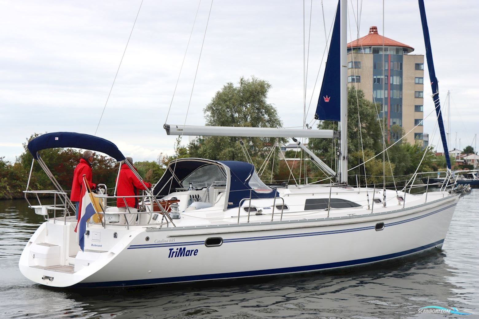 Catalina  445