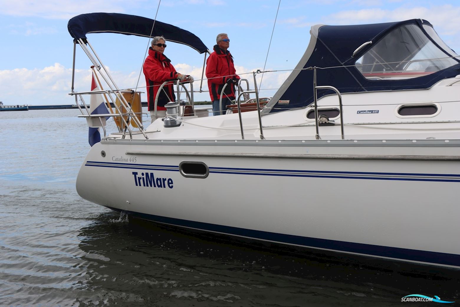 Catalina  445