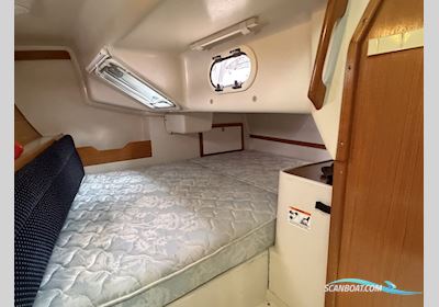 Catalina 320 Sailingboat 2004, with Yanmar 3GM30F engine, The Netherlands