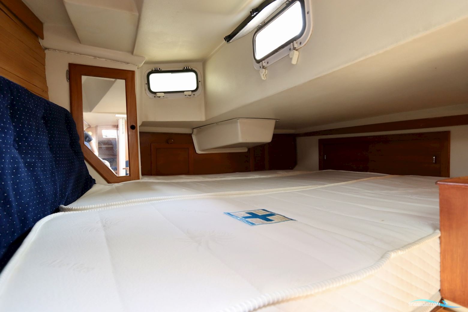 Catalina 36