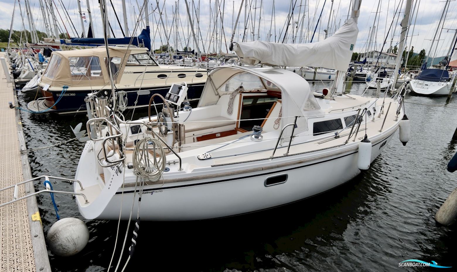 Catalina 36
