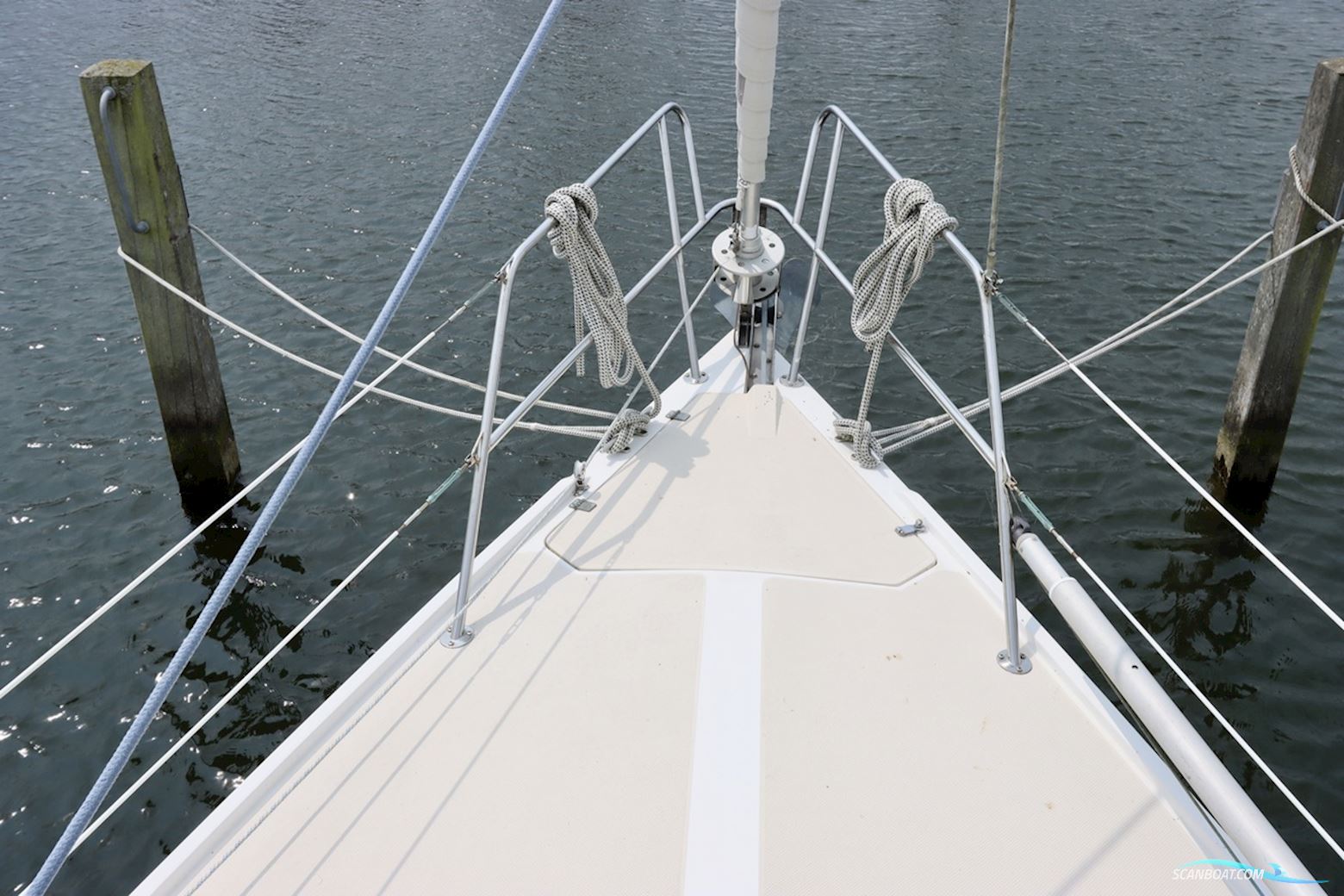 Catalina 36