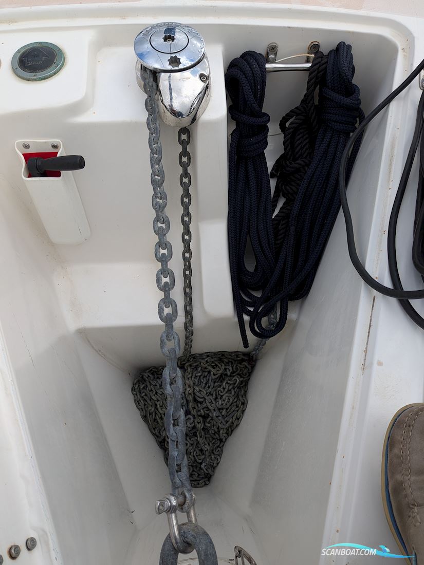 Catalina 400