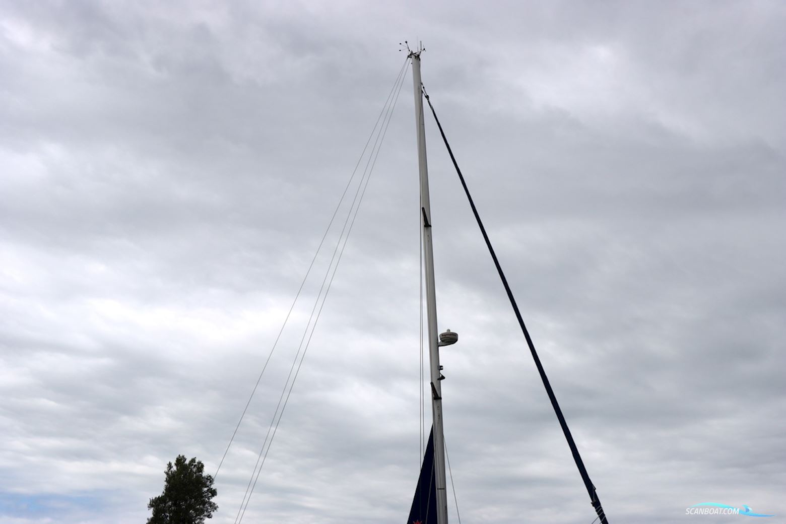 Catalina 445