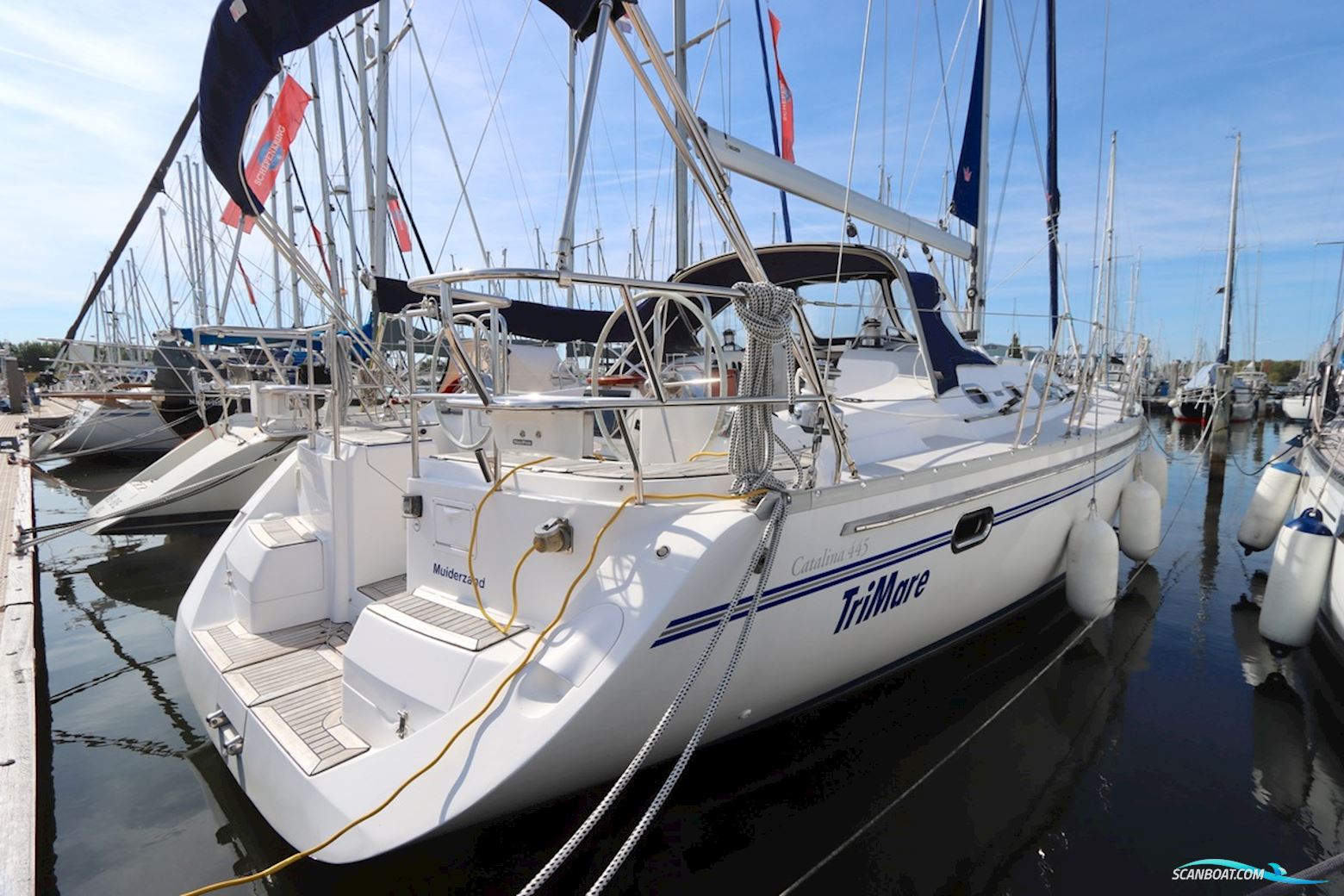 Catalina 445