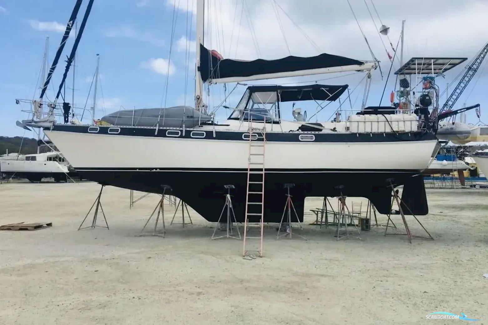 Catalina Out Island Classic 41