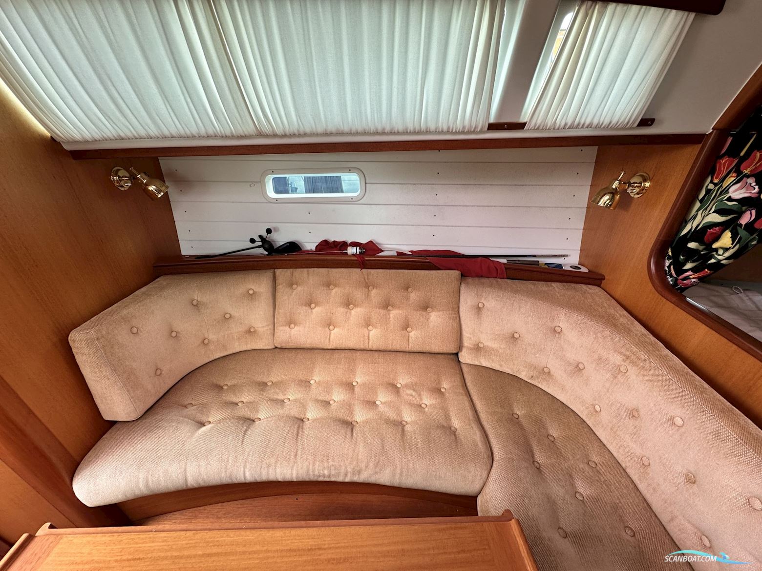 Celeste 36