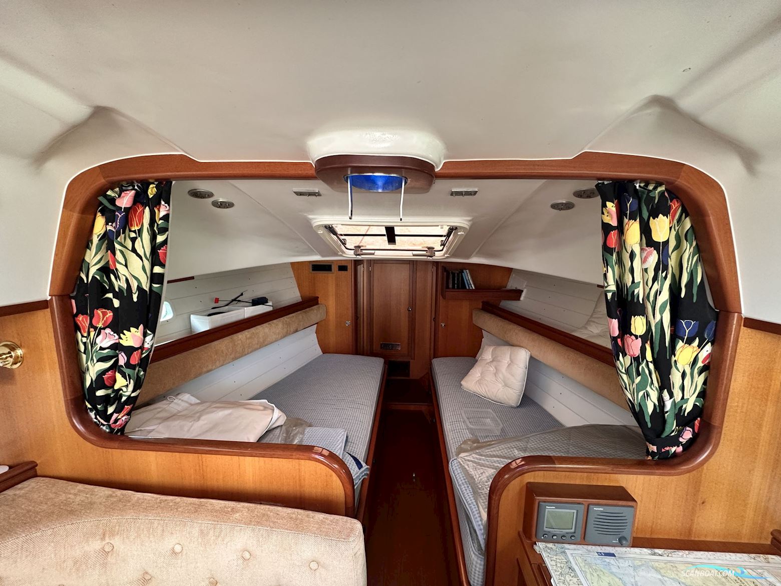 Celeste 36