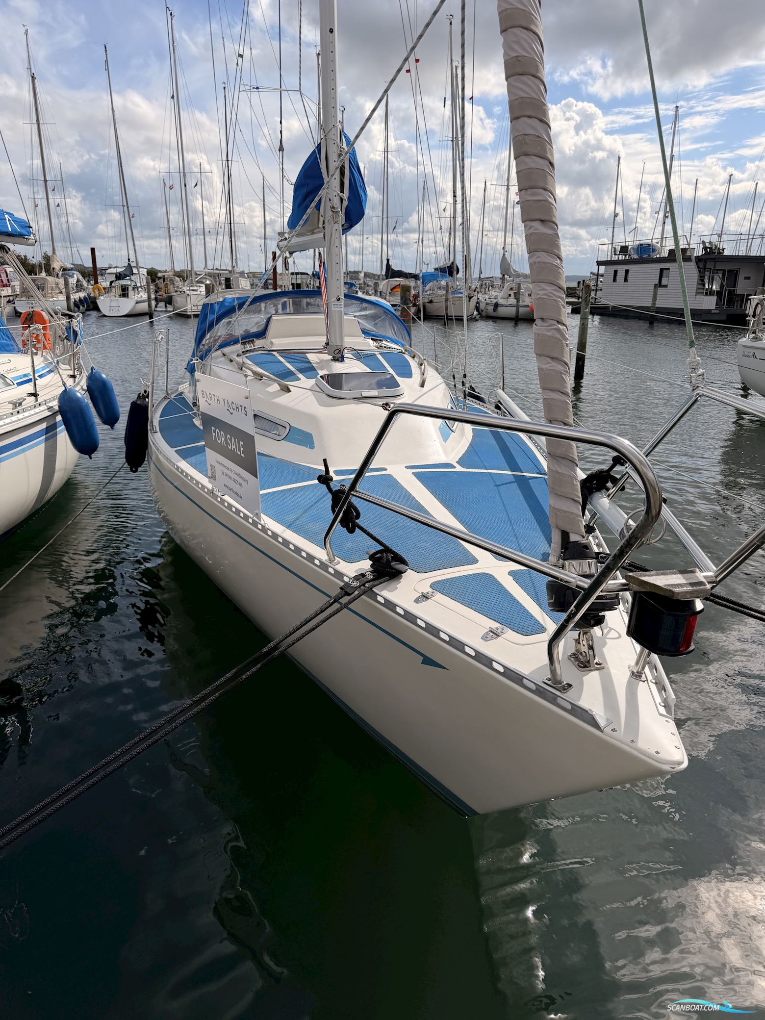 Colina L29
