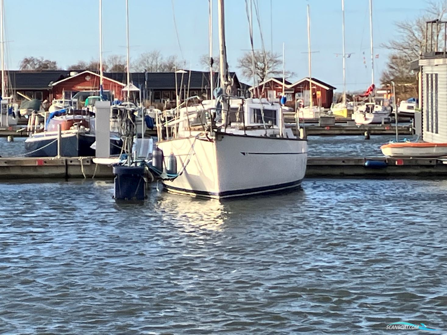 Colvic Victor 34