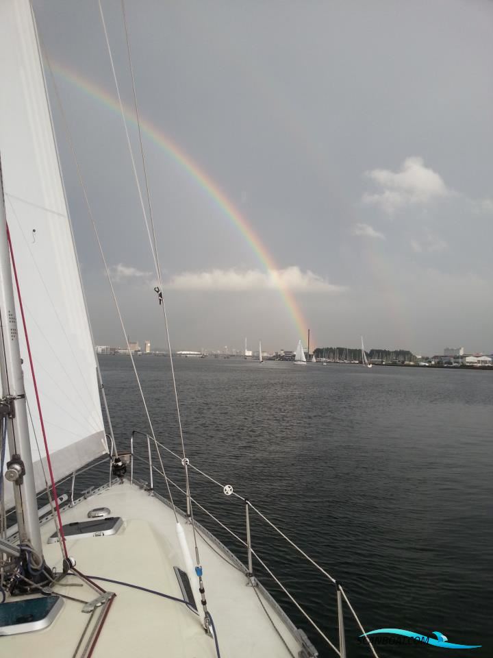 Comfortina 32 Sailingboat 1988, with Volvo Penta  MD2020D engine, Denmark