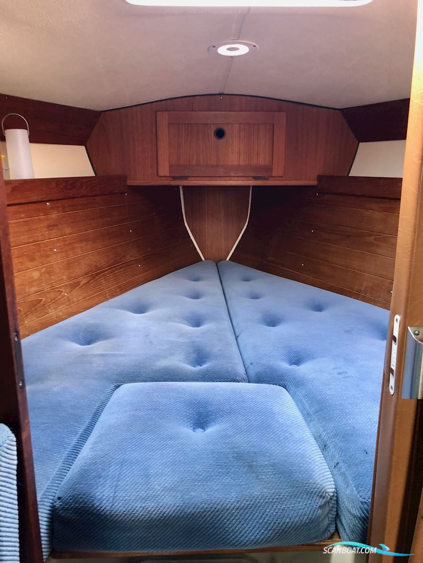Comfortina 32