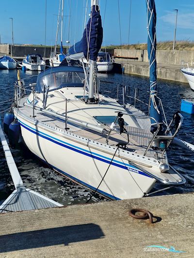 Comfortina 32 Sailingboat 1986, with Volvo Penta MD-2030-D BT engine, Denmark