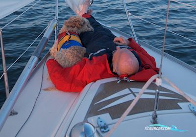 Compis 28 Sailingboat 1975, with Farymann engine, Sweden