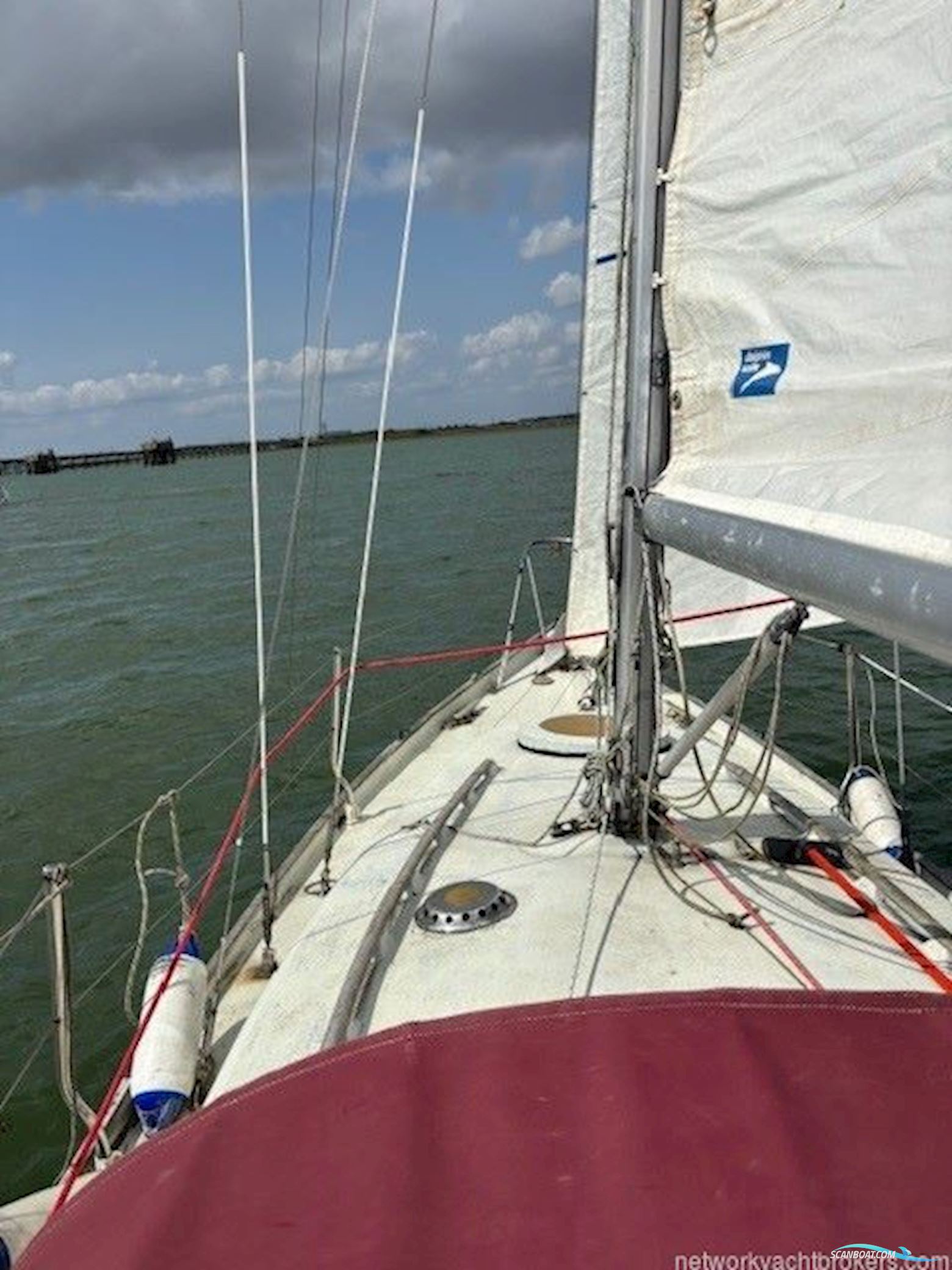 Contessa 26