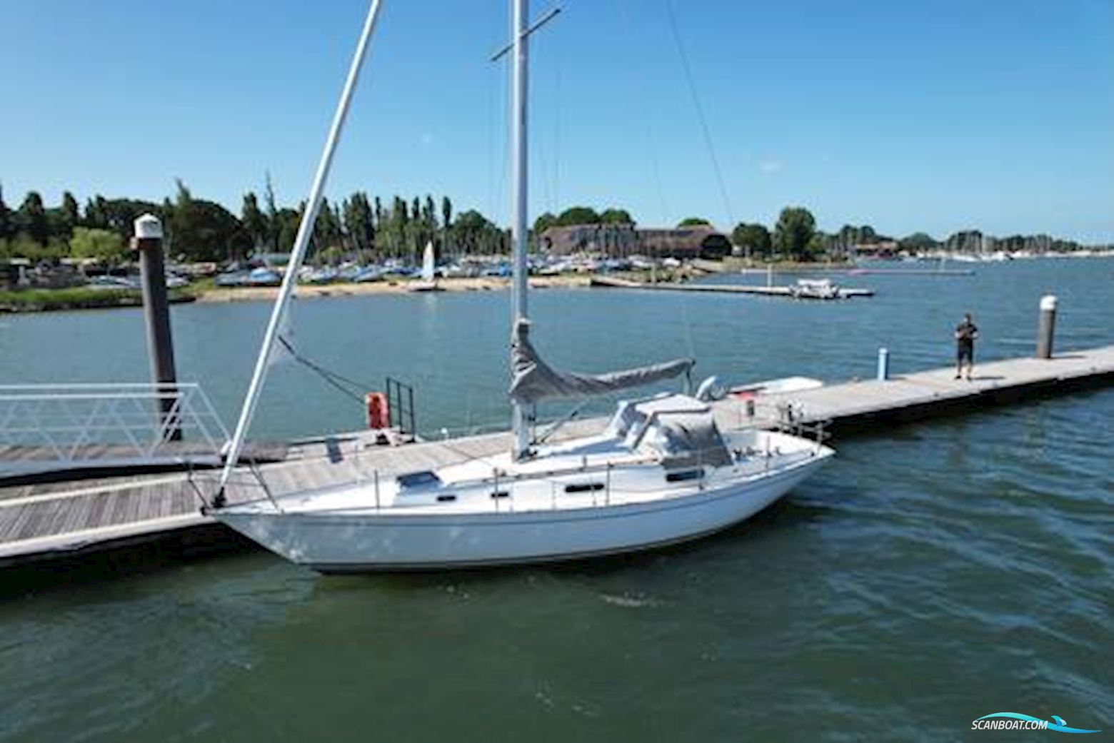 Contessa 32