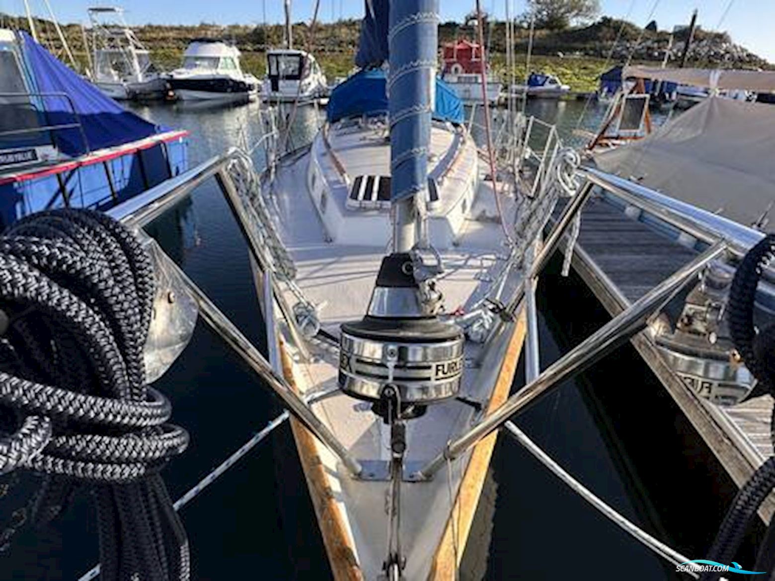 Contessa 32