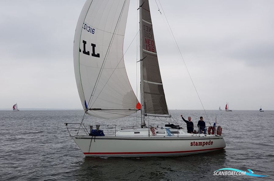 Contessa 34 OOD
