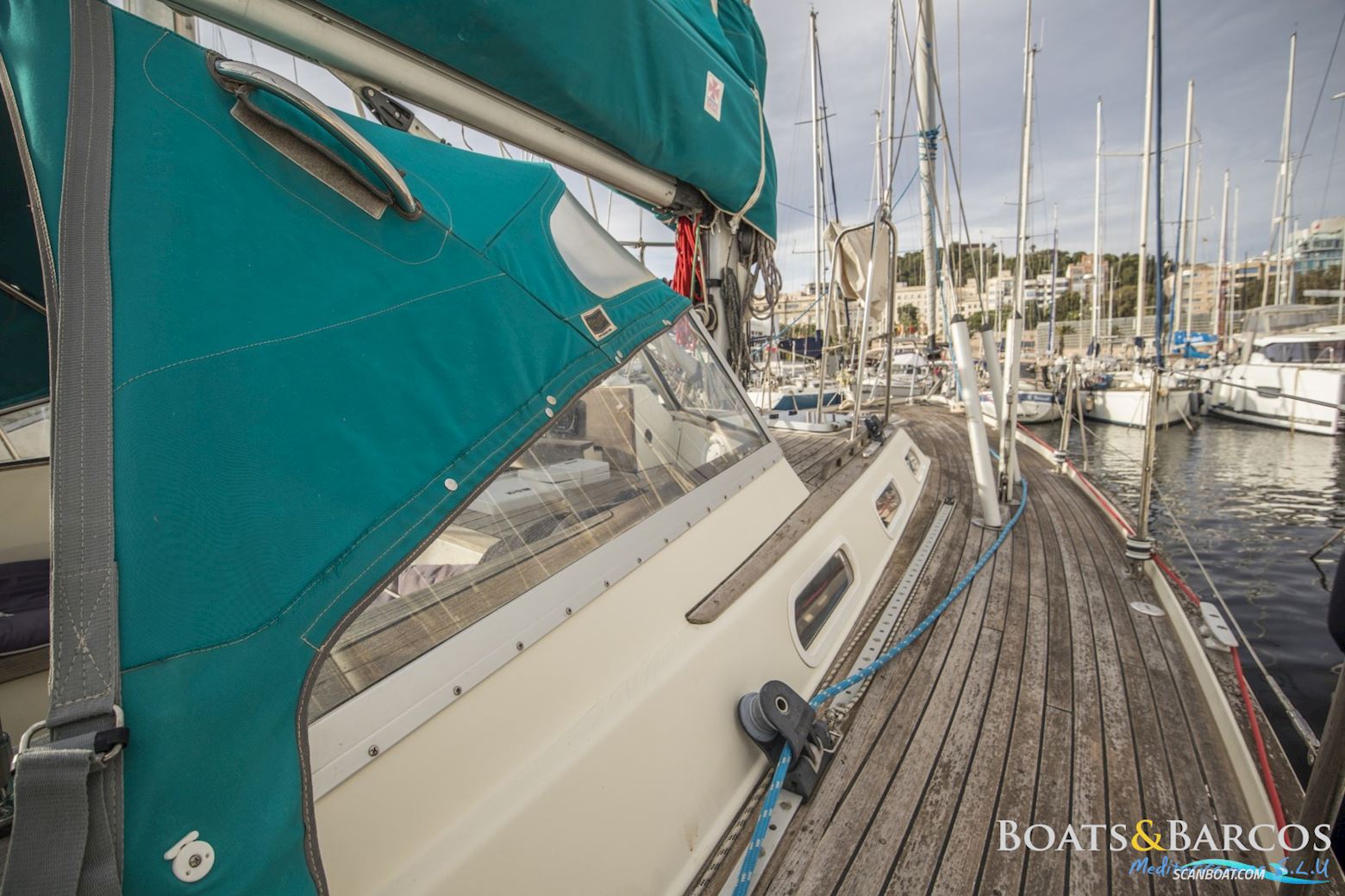 Contest Yachts 43