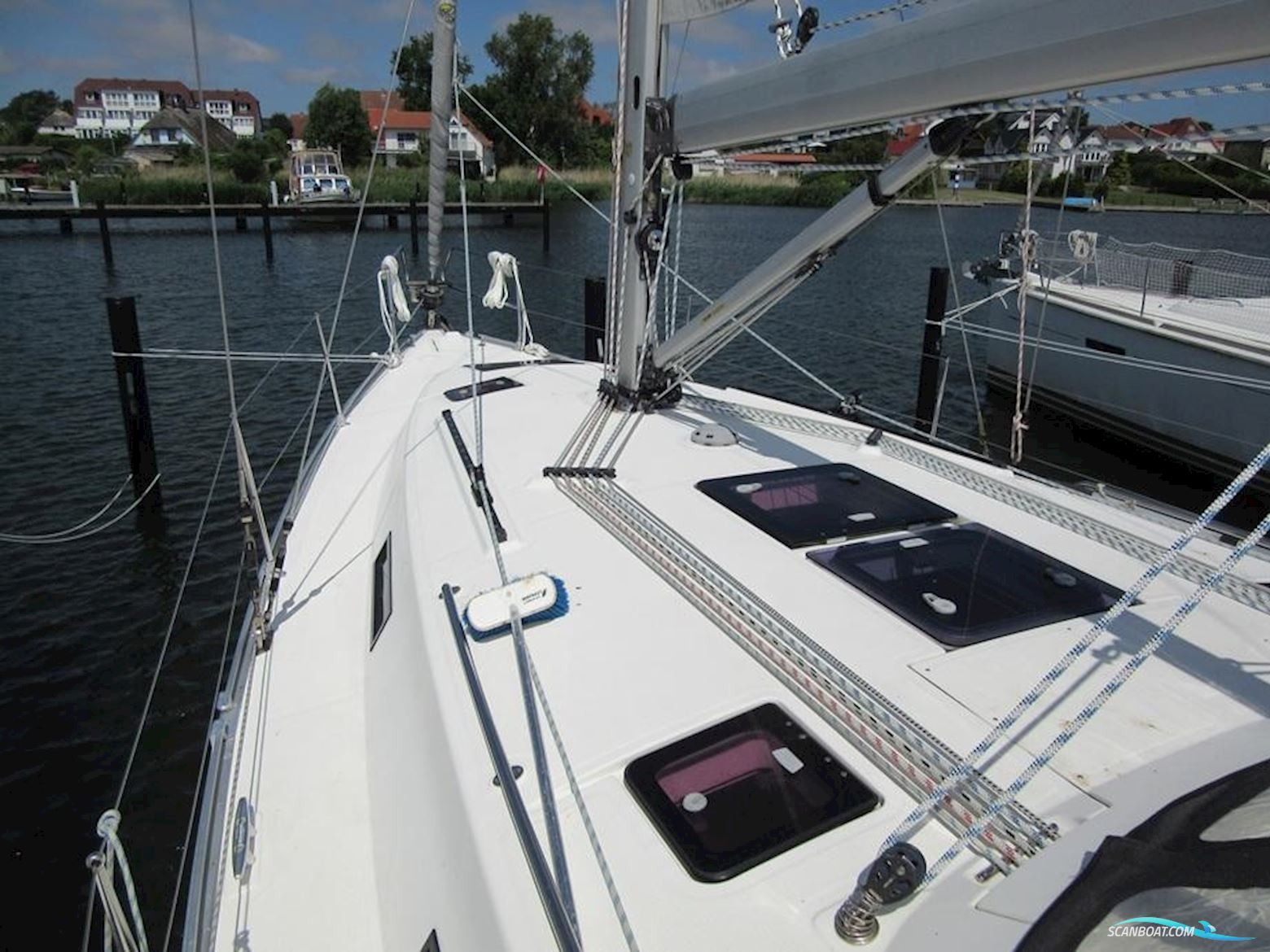 Cruiser 36