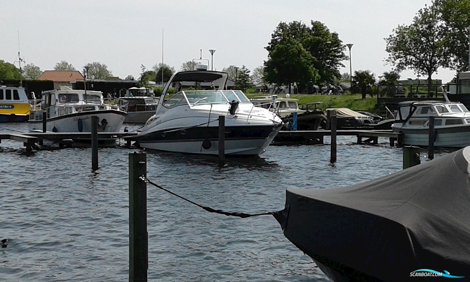 Cruisers Yachts 300 Cxi Express