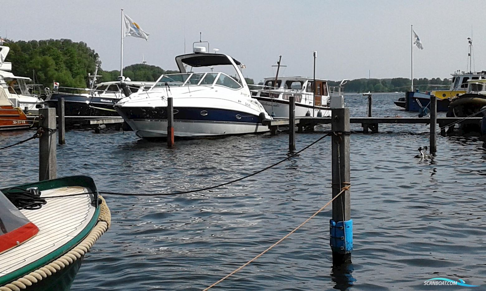 Cruisers Yachts 300 Cxi Express