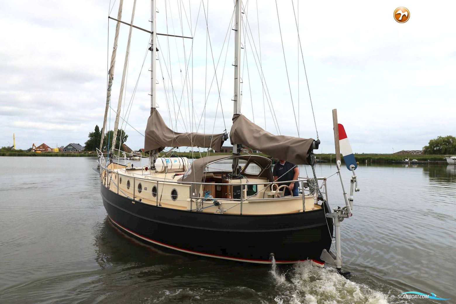 Danish Rose 42