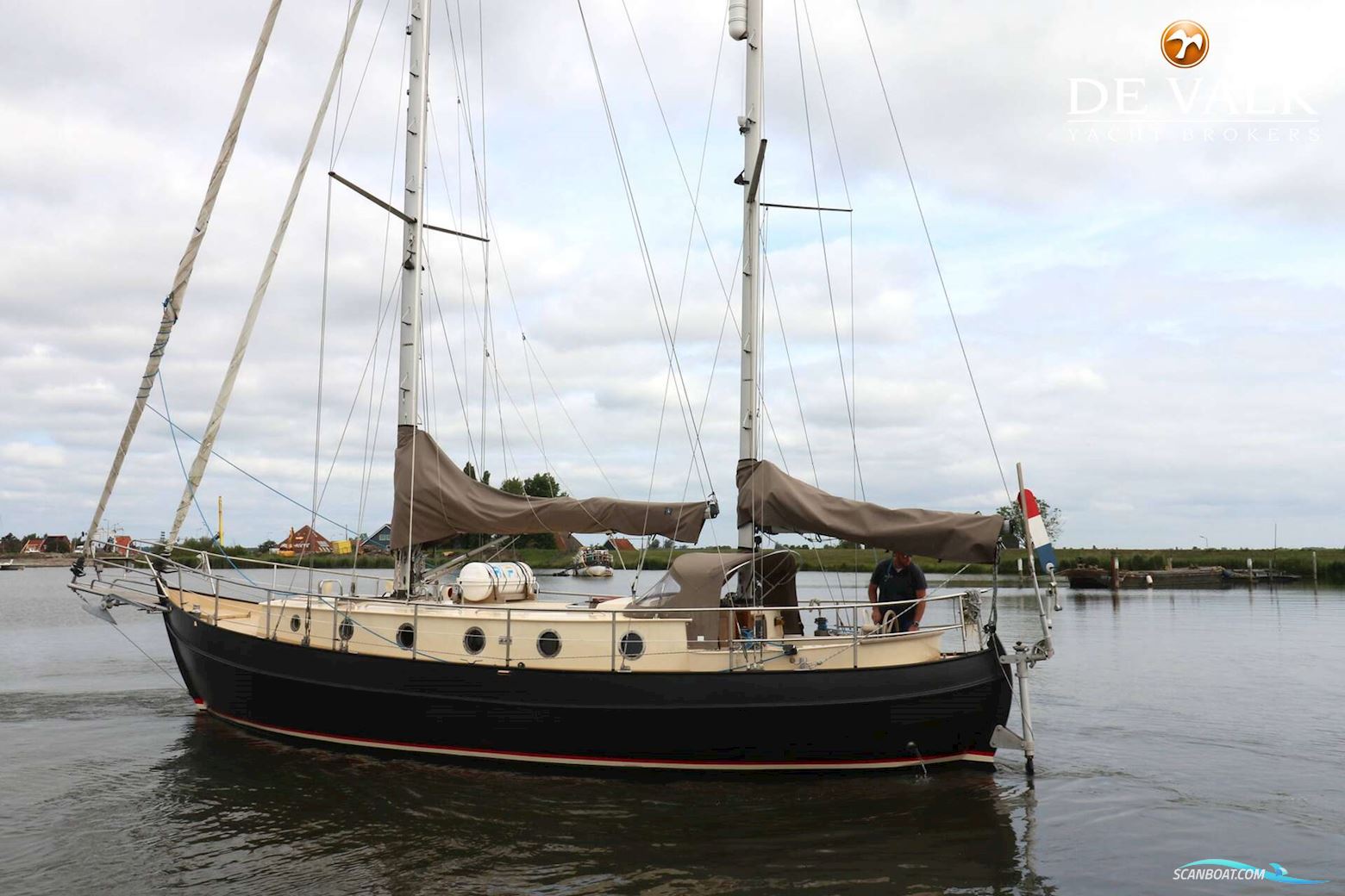 Danish Rose 42