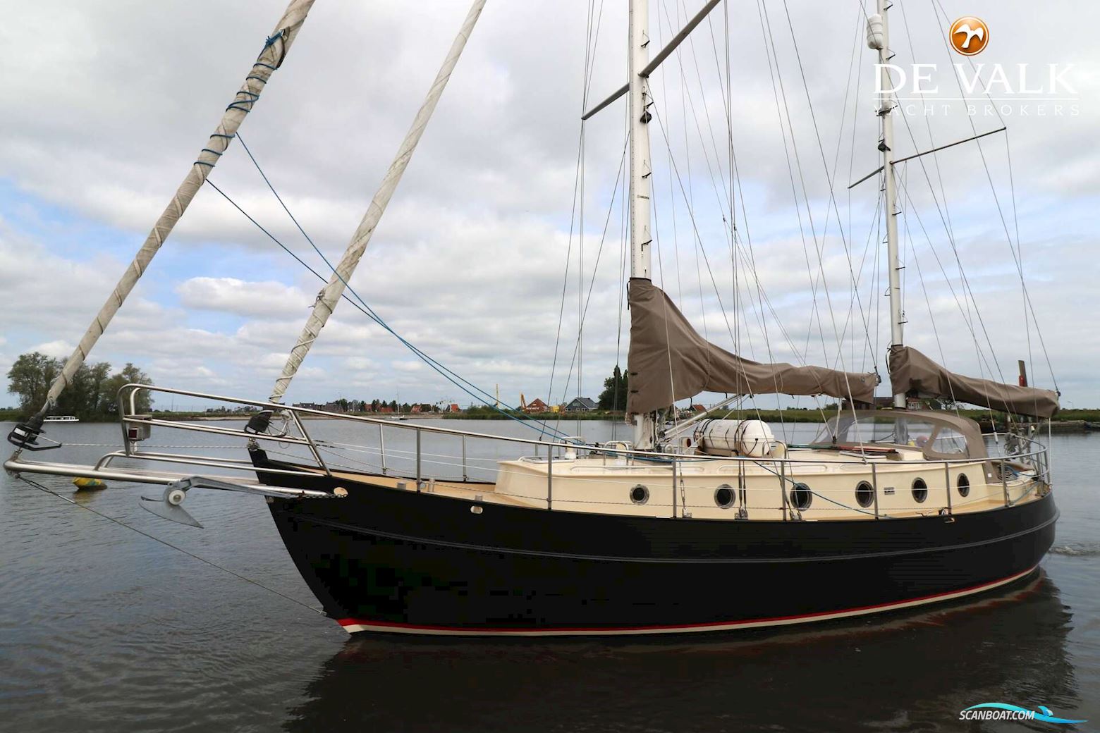 Danish Rose 42