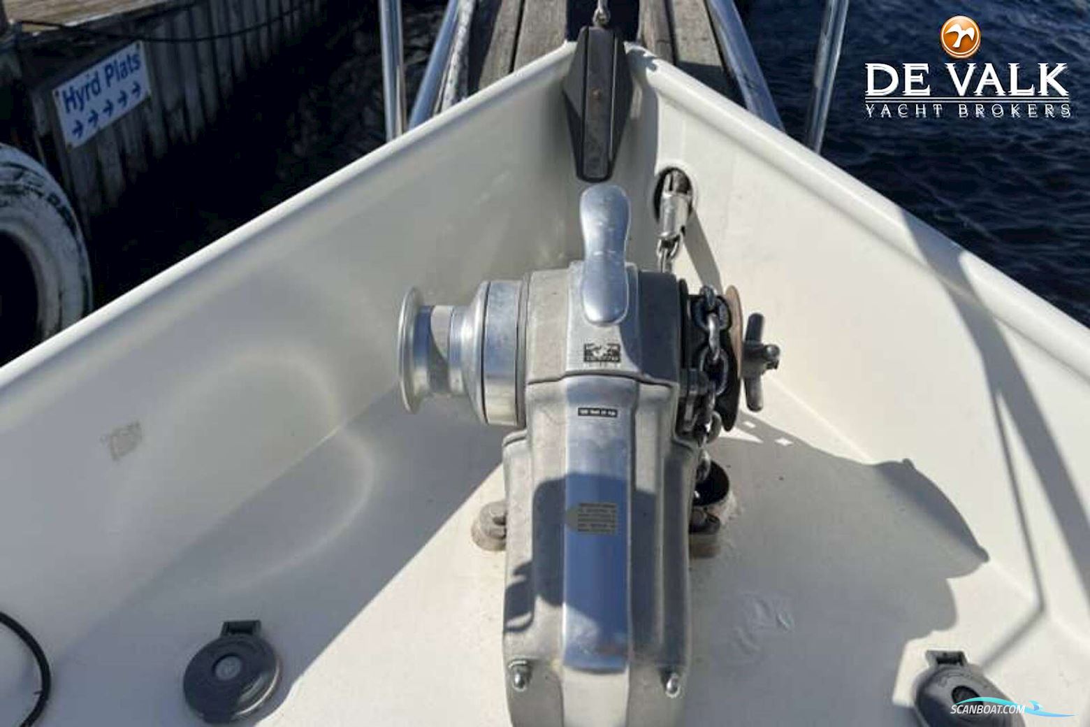 Danish Rose 42