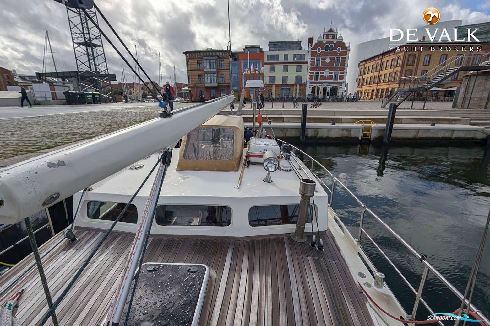 Danish Rose 42